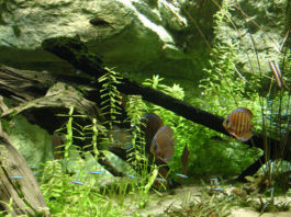 L’assemblaggio delle lastre 1457 0 L assemblaggio delle lastre